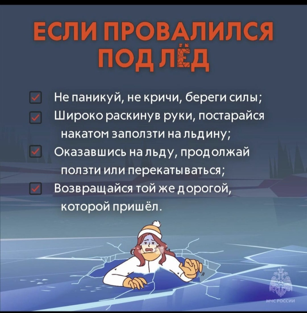 9787b649-9e9a-4a7d-9794-f903a64f6f10.jpg