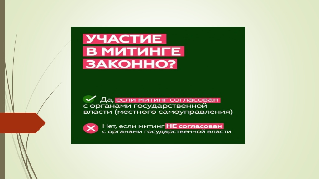 Несанкционированный митинг.pptx_page-0002.jpg