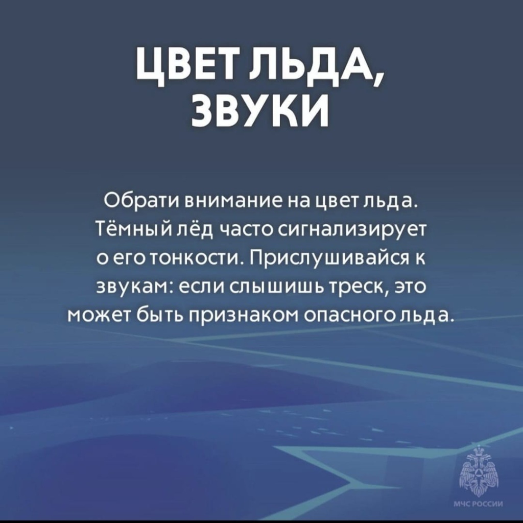 d46dc3be-d045-4bc6-971f-4d62f1529cd8.jpg